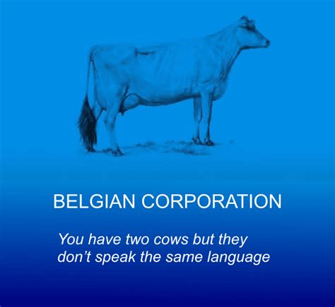 The World Economy Explained With Just Two Cows 30 Pics