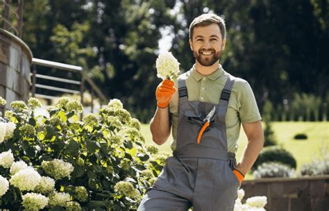 Llᐈ ¿cuánto Gana Un Jardinero En Estados Unidos 2024