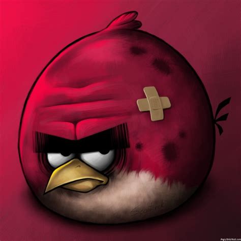 Angry Birds Big Brother After Battle Ipad Background By Scooterek