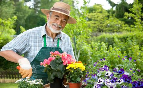 9 Tips To Gardening Safely When Youre A Senior How Does Your Garden Mow