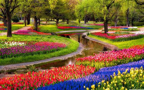 Free Download Spring Garden Wallpapers Top Spring Garden Backgrounds