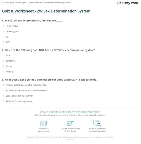 Quiz And Worksheet Zw Sex Determination System