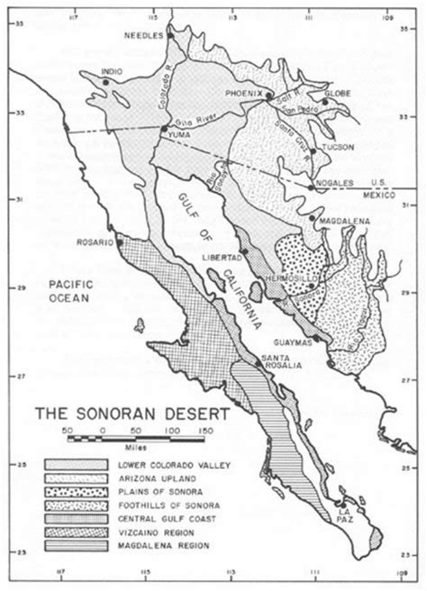 Map Of Sonoran Desert Subdivisions Shreve 1951 Download