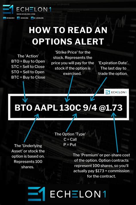 How To Read An Options Alert Stock Options Trading Investing Trading