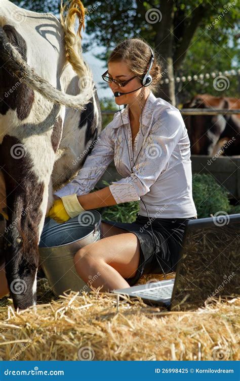 Woman Milking Cow Stock Image Image Of Breeder Mammal