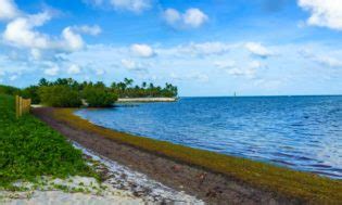 Tent, tarp, sleeping bag, cooking tools… you know the drill. Curry Hammock | Camping Florida Keys