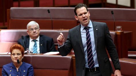 Northern Australia Minister Matt Canavan Hits Back At Adani Critics Townsville Bulletin