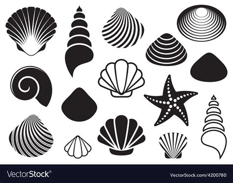 Sea Shells And Starfish Royalty Free Vector Image