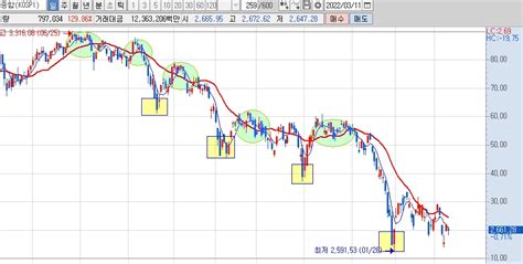 카이토 일봉 차트