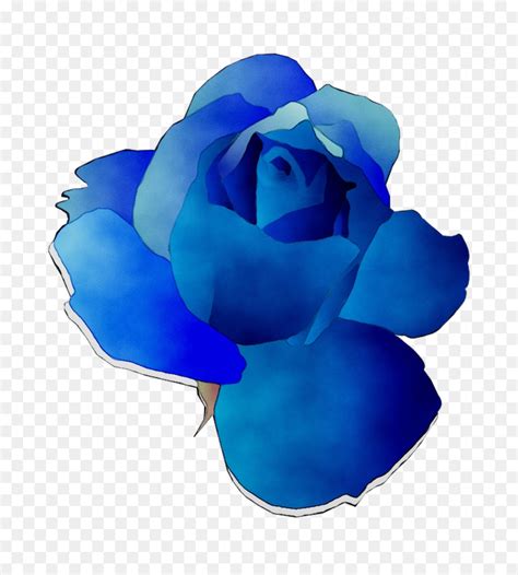 Blue Rose Clip Art Rose Png Download 600427 Free Transparent