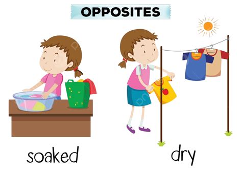English Opposite Word Soaked And Dry Dry Linguistic Cartoon Vector Dry