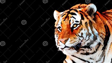 Tiger Isolated On Black Digital Watercolor Painting Portrait Stock