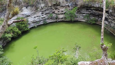 8 Datos Sorprendentes Del Cenote Sagrado En Chichén Itzá Top Adventure