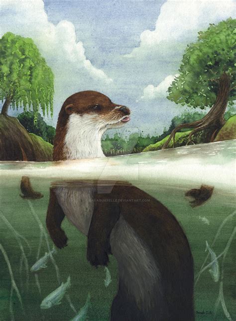 Otter By Saraquarelle On Deviantart