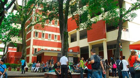 Diferencia entre egresado y graduado. Conoce las 10 carreras con mayor matrícula de UNAH-VS ...
