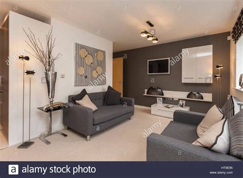 Download this stock image: Home interior, modern lounge, new build