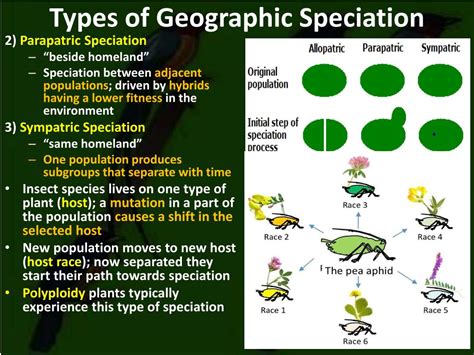 Ppt Speciation Ch 21 Powerpoint Presentation Free Download Id2011153