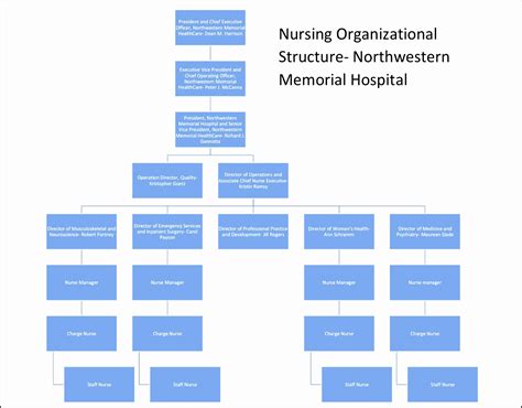 9 Hospital Organizational Chart Sampletemplatess Sampletemplatess