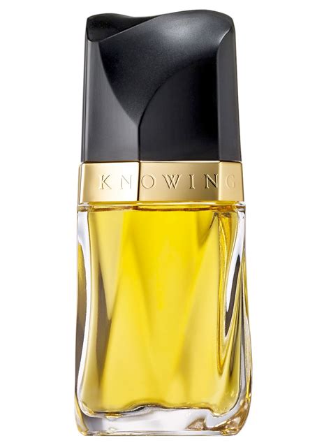 Knowing Estée Lauder Perfume A Fragrance For Women 1988