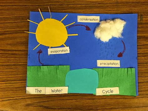 First Grade Fanatics Water Cycle