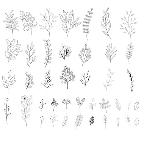 Leaves Sketch Vector Art Icons And Graphics For Free Download