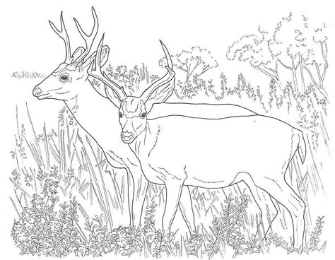 Free Kids Hunting Coloring Page Coloring Home