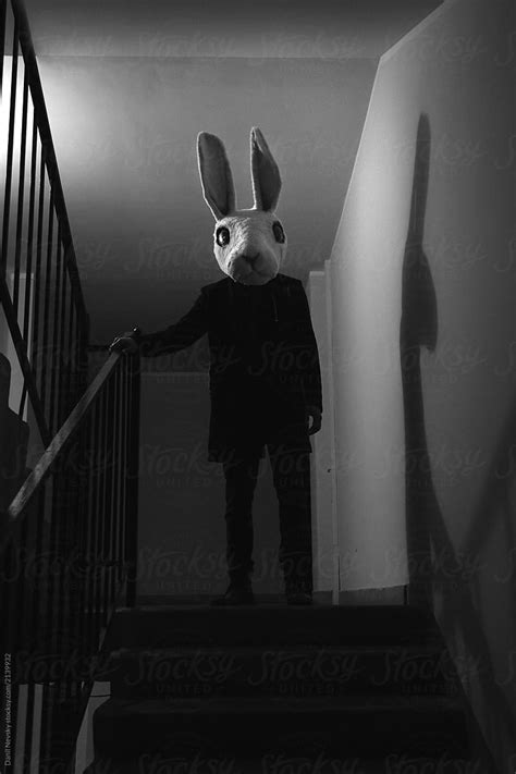 Creepy Rabbit On Stairs By Stocksy Contributor Danil Nevsky Stocksy