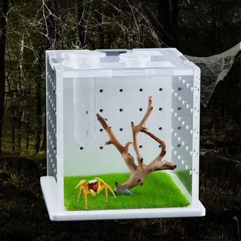 Buy Spider Acrylic Breeding Box Tarantula Transparent Terrarium