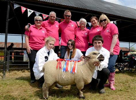 Shropshire County Show In Video And Pictures Shropshire Star