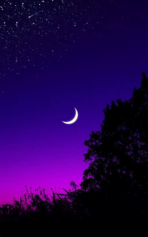 4k and hd video ready for any nle immediately. Download wallpaper 800x1280 moon, tree, starry sky, night ...