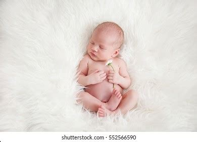 Happy Naked Babycute Naked Baby Girl Stock Photo Shutterstock