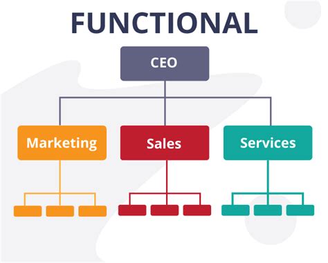 Functional Organizational Structure Diagram
