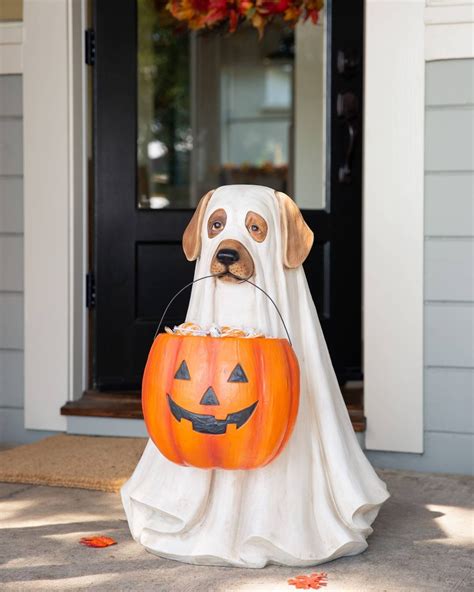 Dog Halloween Costumes Halloween Photos Dog Costumes Spirit