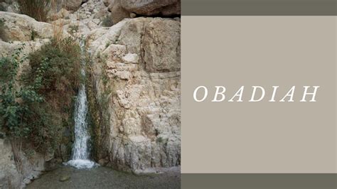 In judaism and christianity, its authorship is attributed to obadiah, a prophet who lived in the assyrian period. The Book of Obadiah: The Edomites - YouTube
