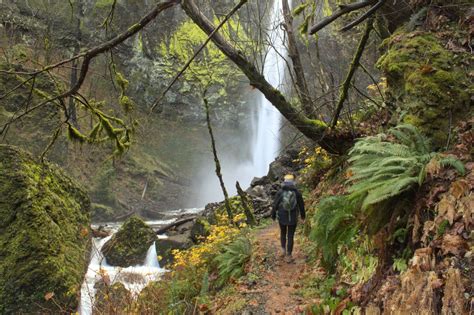 Hike To Elowah Falls And Upper Mccord Creek Falls — Pines And Vines