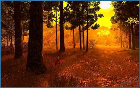 Autumn Forest 3d Screensaver Download Free