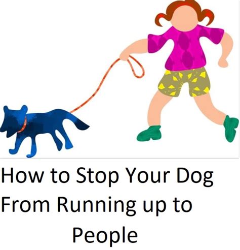 How To Stop A Cat From Attacking Dogs Pethelpful
