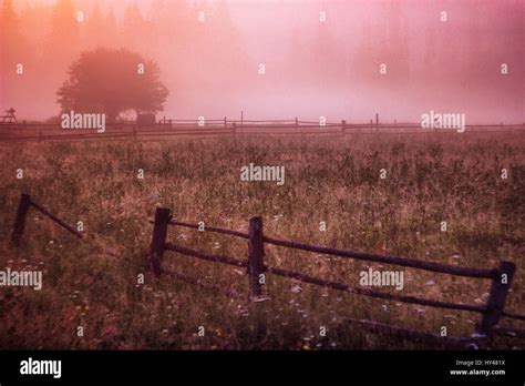 Morning Sun Rays In The Fog Mountains Tree Stock Photo Alamy