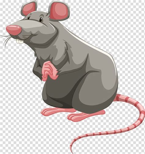 Laboratory Rat Brown Rat Rodent Rat Cartoon Transparent Background