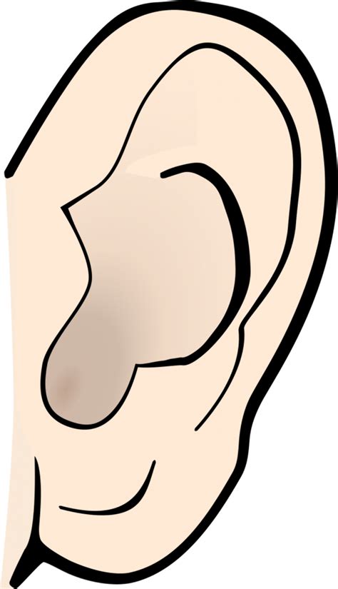 Download High Quality Ear Clip Art Outline Transparent Png Images Art