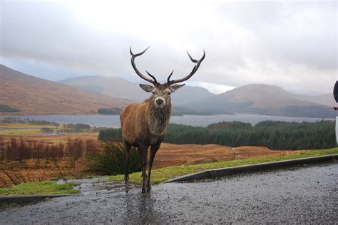 Why Visit The Scottish Highlands Inspiring Travel Scotland