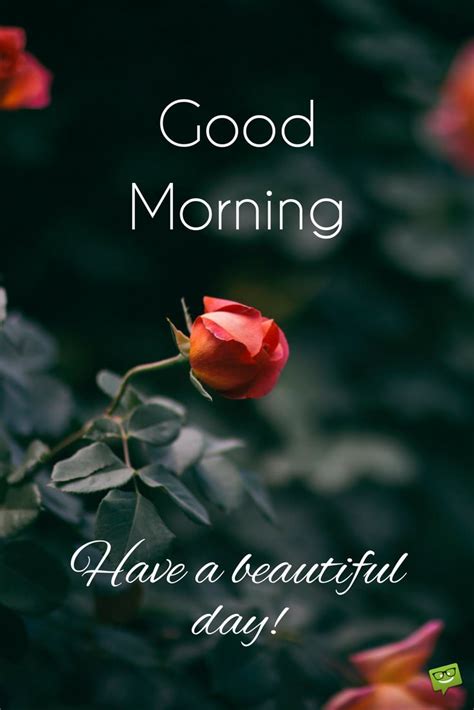 Its human nature they get attached or have affection for beautiful scenarios or sceneries. 34 Brilliant Good Morning Quotes to Make your Day!