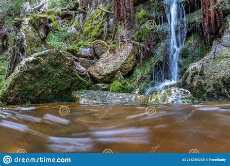 Cascade Falls Over Mossy Rocks Stock Image Image Of Cascade Flowing