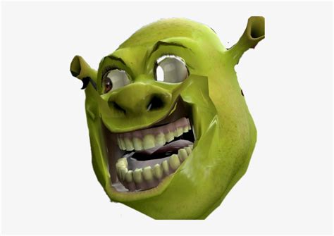 Shrek Meme Format