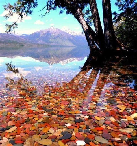 Glacier National Park Montana Pebble Shore Lake Places To Travel