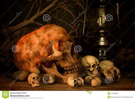 Skull Under Candle Light, Halloween Theme Stock Photo - Image of bone ...