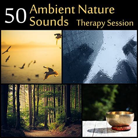 Amazon Music Relaxing Nature Sounds Collectionの50 Ambient Nature Sounds Therapy Session