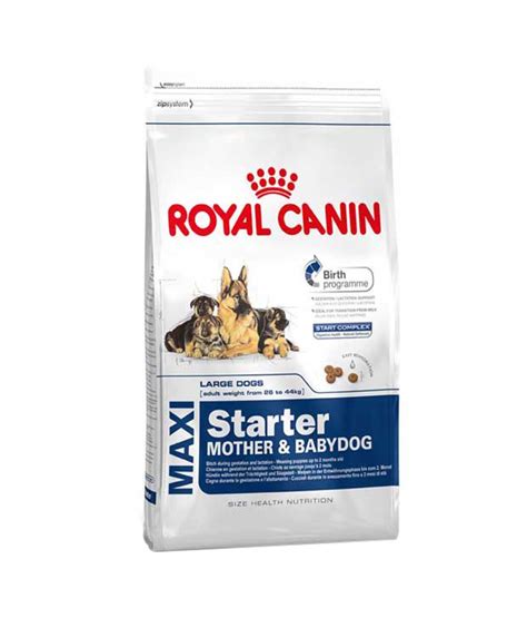 Crafted specifically for growing labrador retrievers. ROYAL CANIN Maxi Starter Mother & Babydog Dog Food 4kg ...