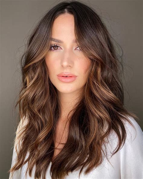 Brown Hair With Soft Blended Highlights Highlights For Dark Brown Hair