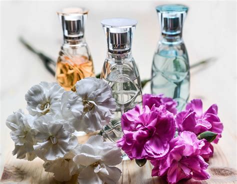 ¿cómo Se Elaboran Los Perfumes Clickmica
